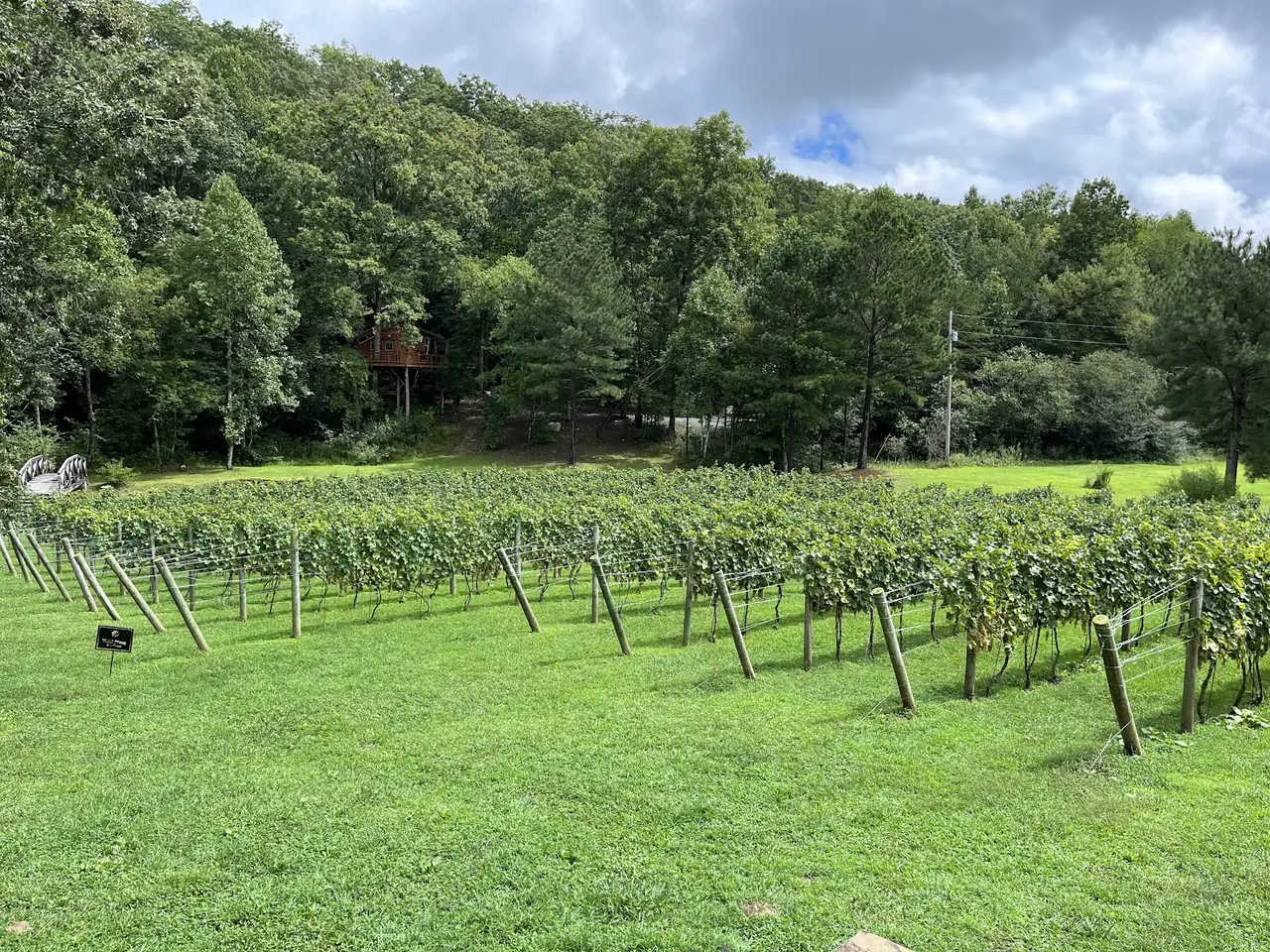 Bear Claw Vineyards
