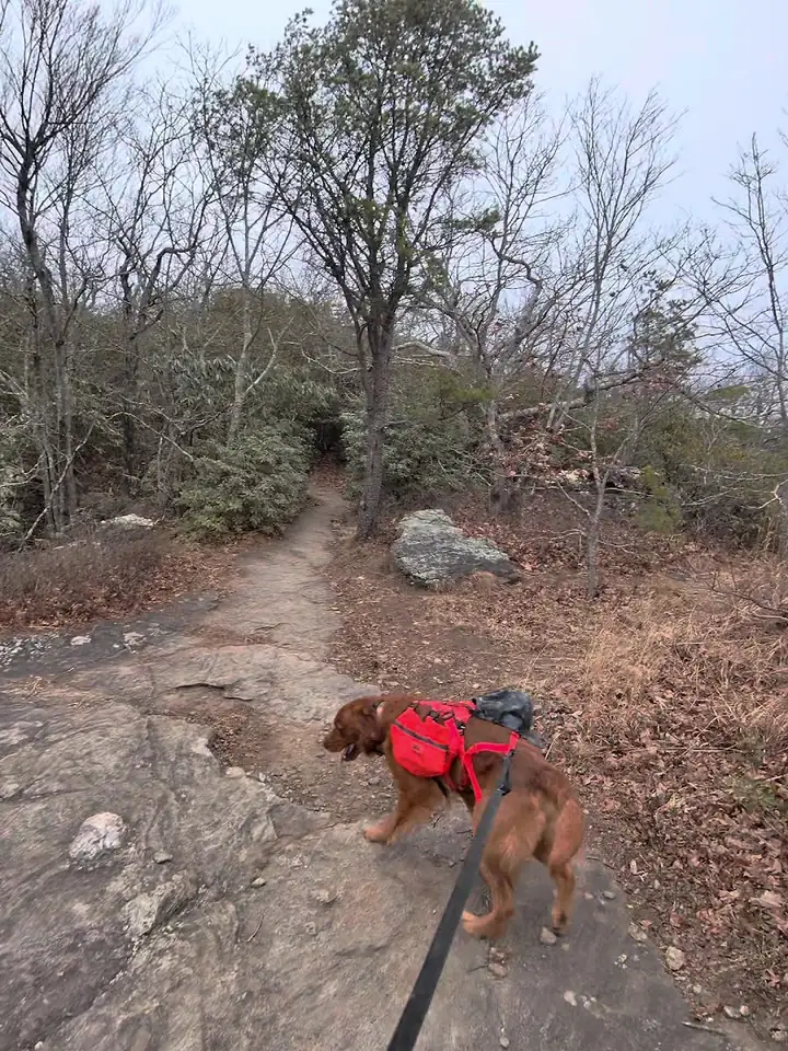 Blood Mountain Freeman Loop