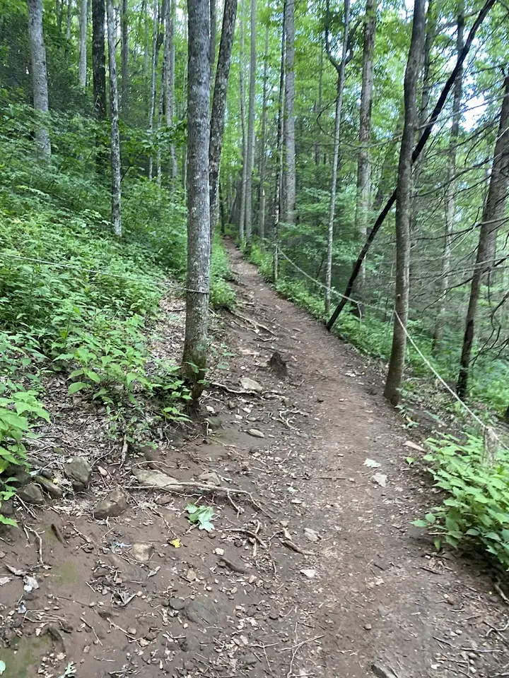 Blood Mountain Freeman Loop