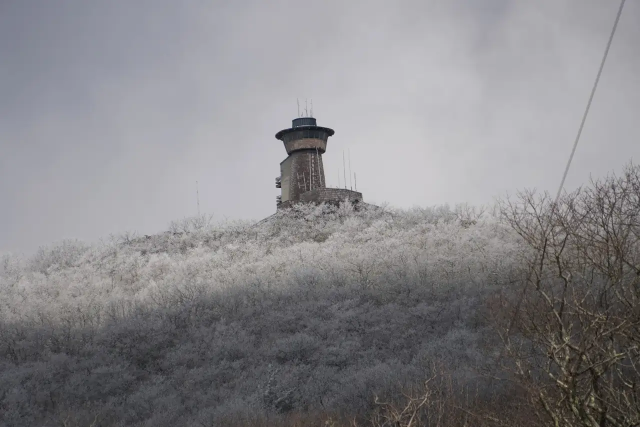 Brasstown Bald