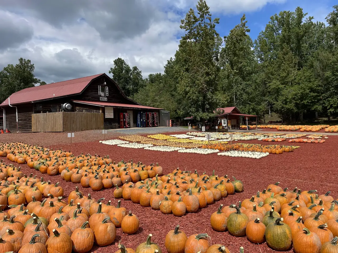 Burt's Pumpkin Farm
