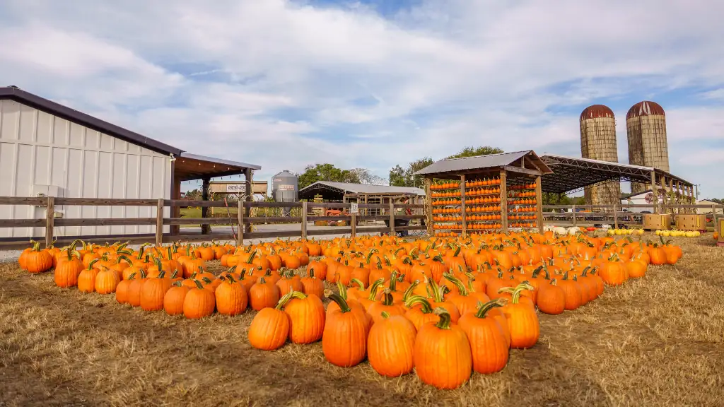 Cagle's Family Farm
