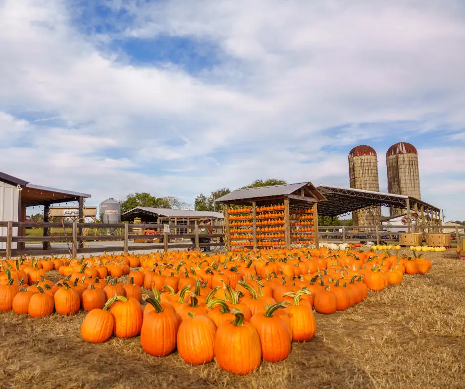 Cagle's Family Farm