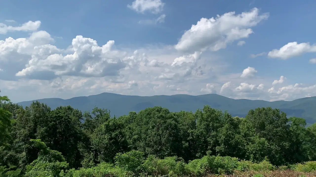 Cohutta Overlook