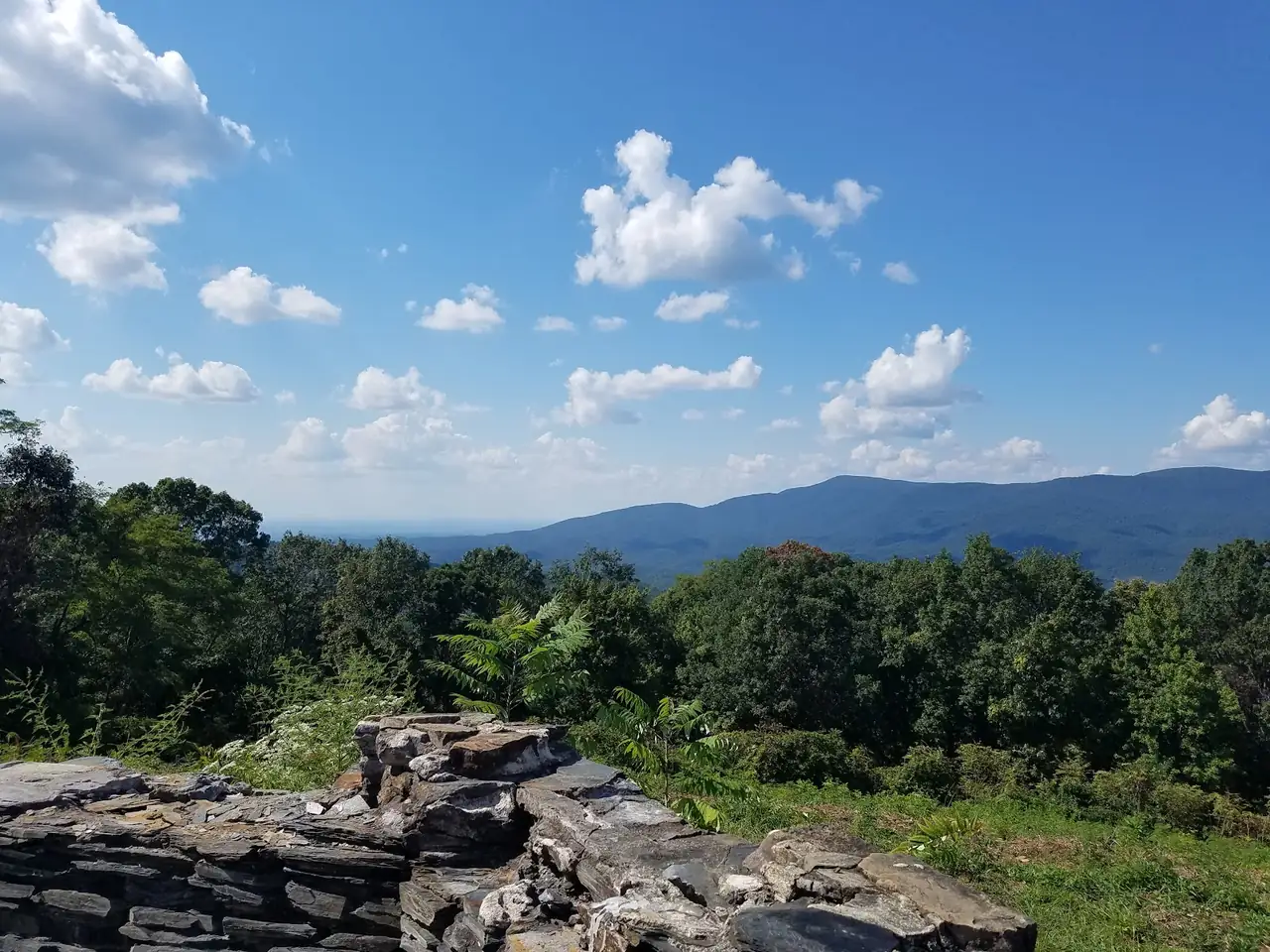Cohutta Overlook