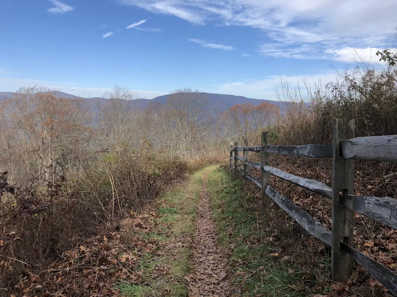 Cohutta Overlook