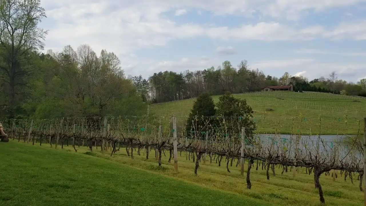 Crane Creek Vineyards