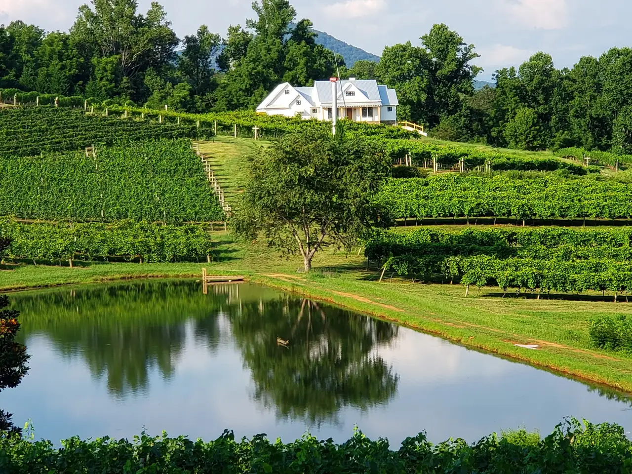 Crane Creek Vineyards