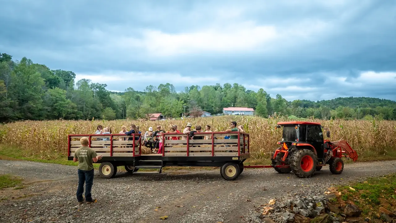 Cress Creeks Farm & Corn Maze