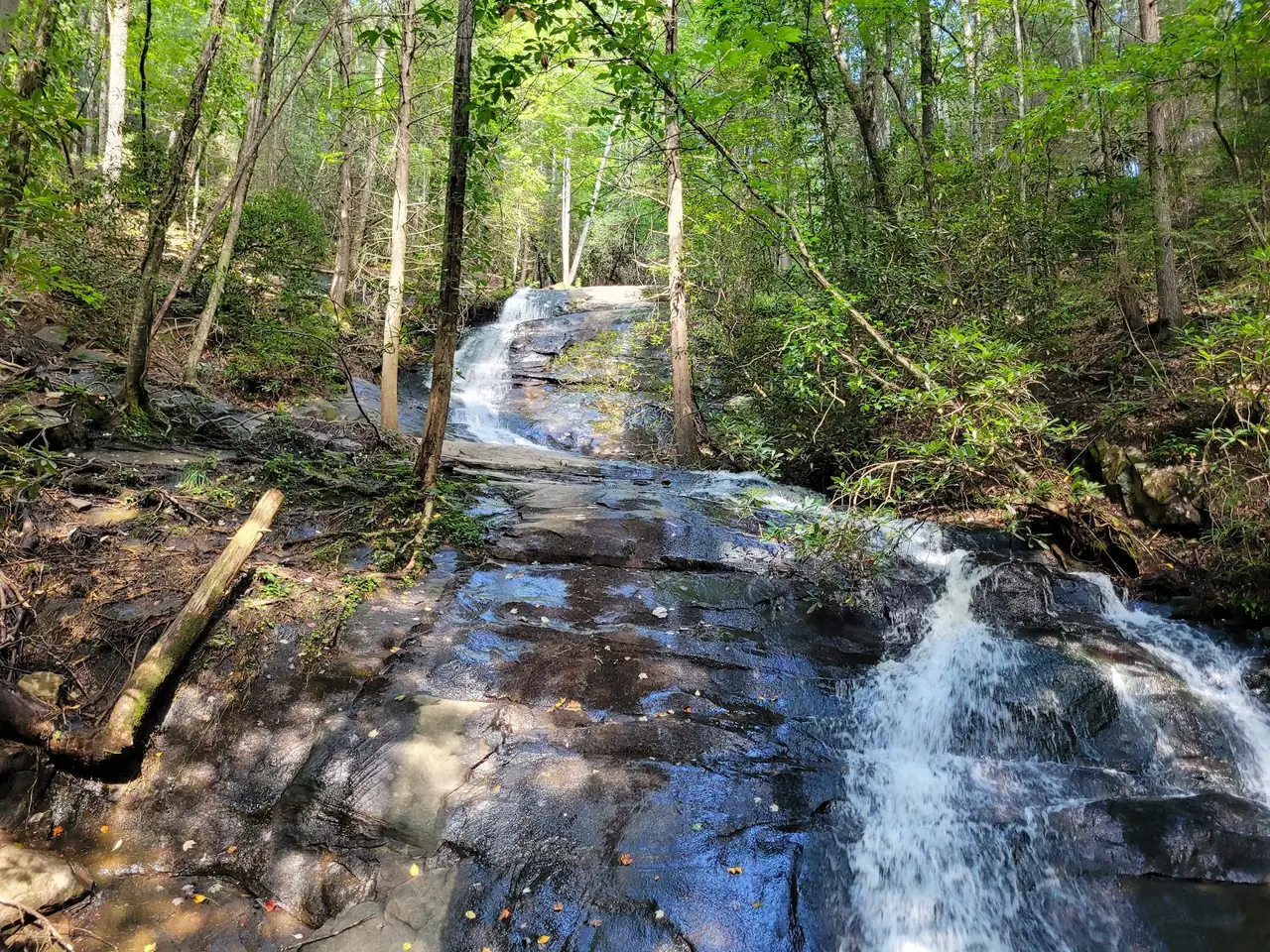 Fall Branch Falls and Aska Road