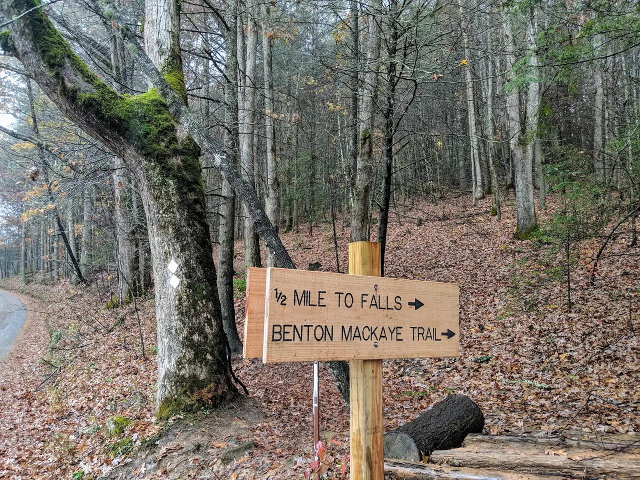 Fall Branch Falls and Aska Road