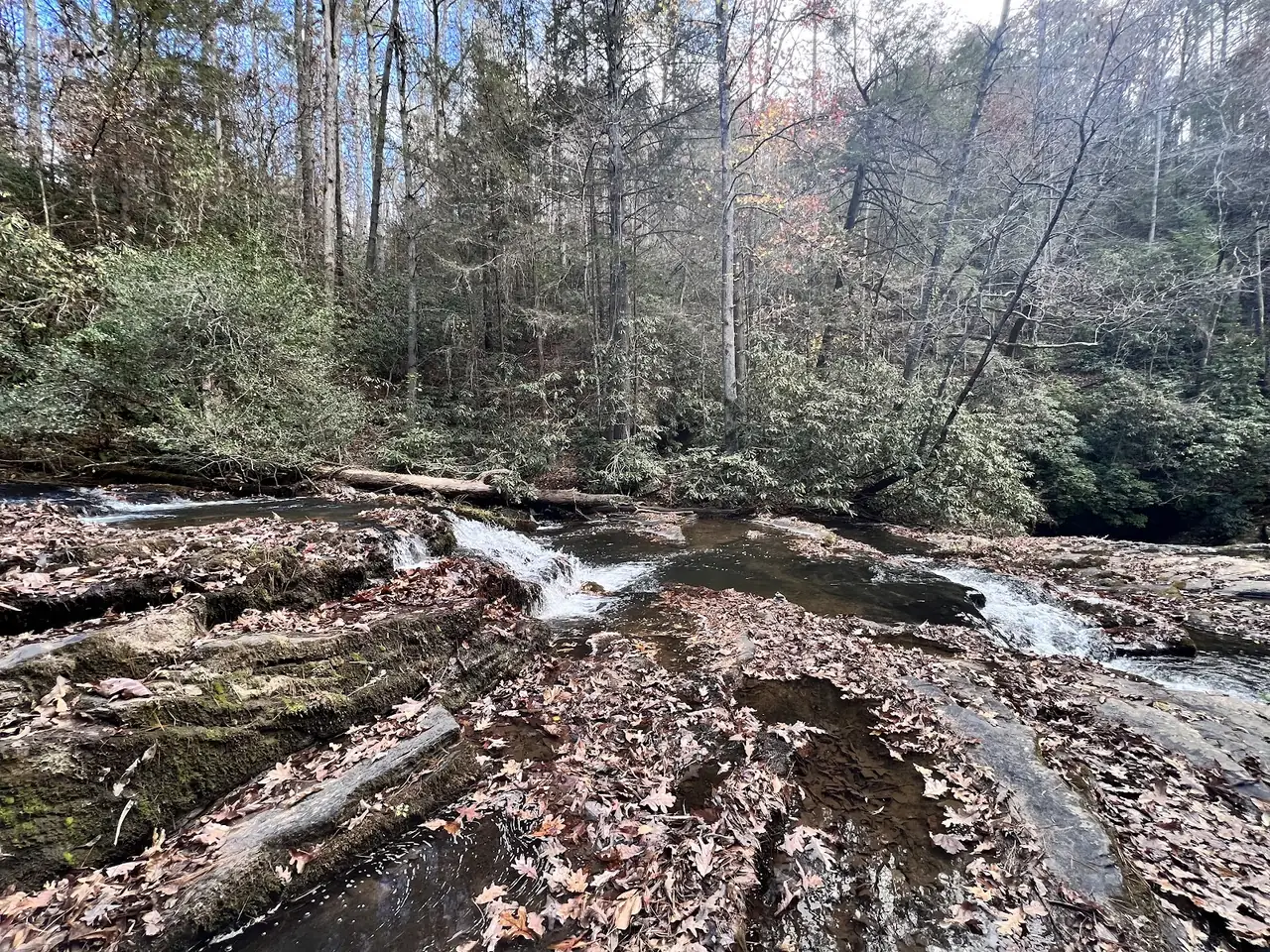 Fall Branch Falls and Aska Road