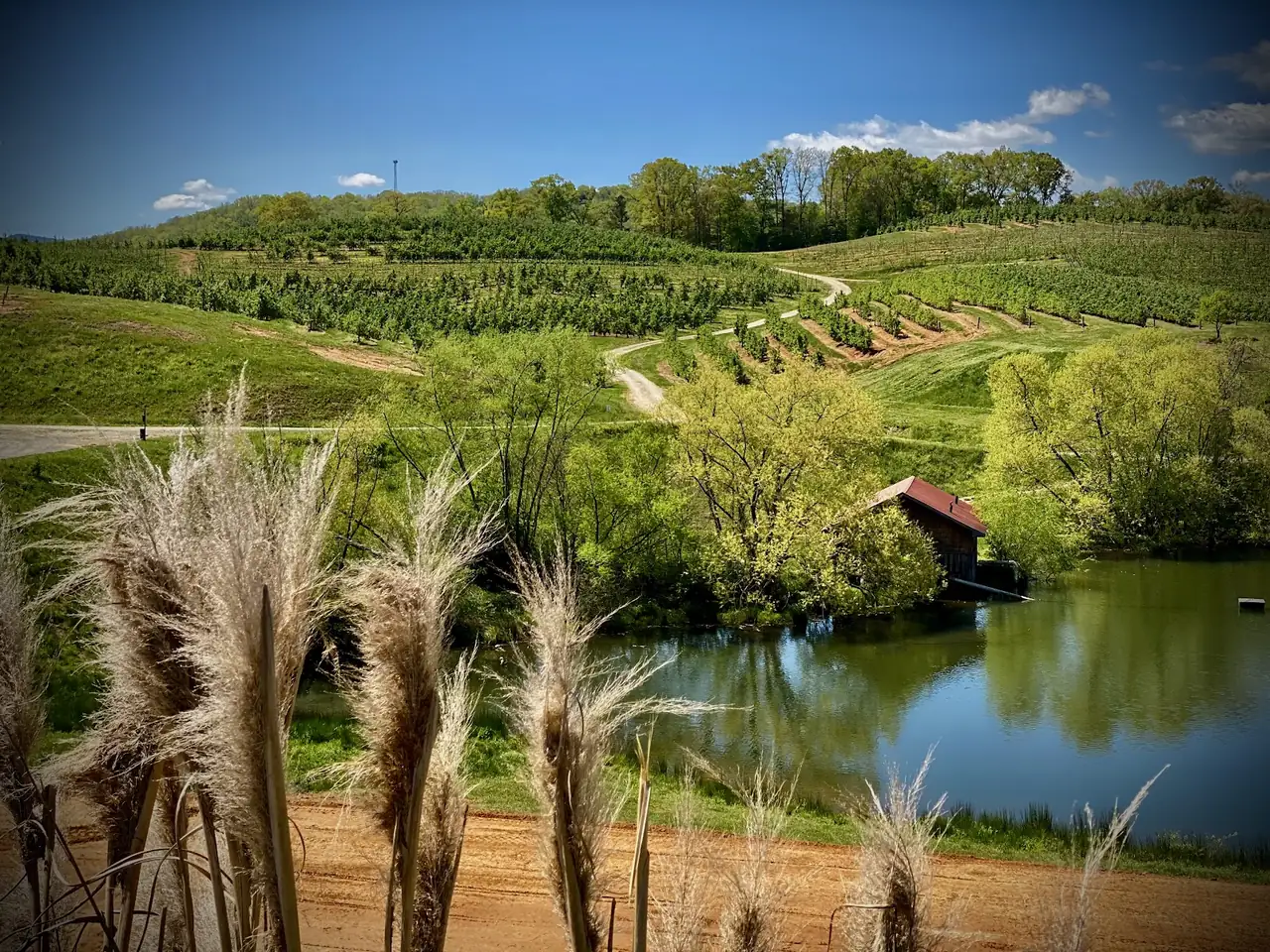 Mercier Orchards