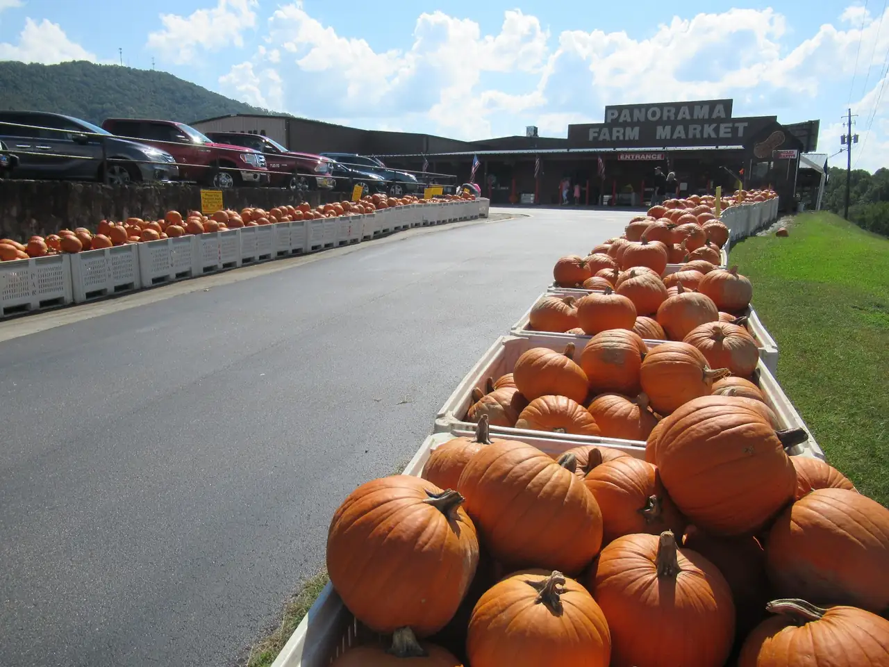 Panorama Orchards & Farm Market