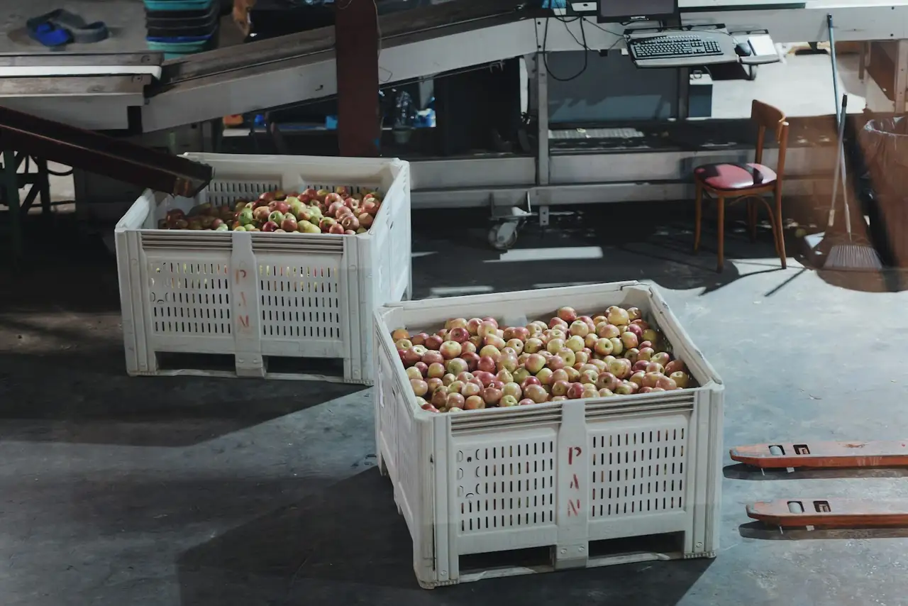 Panorama Orchards & Farm Market