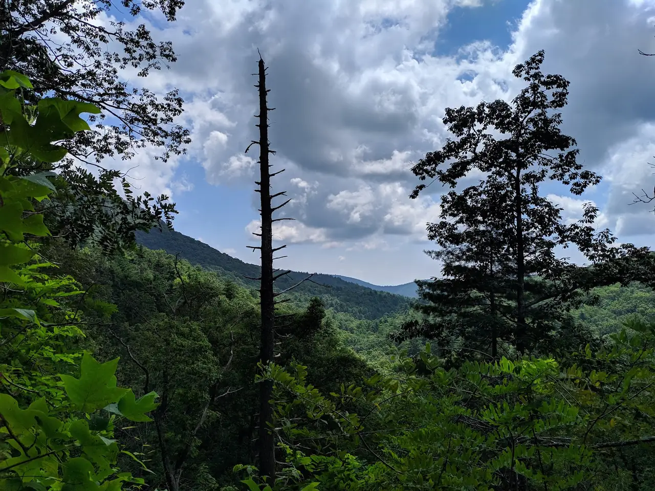 Raven Cliff Falls