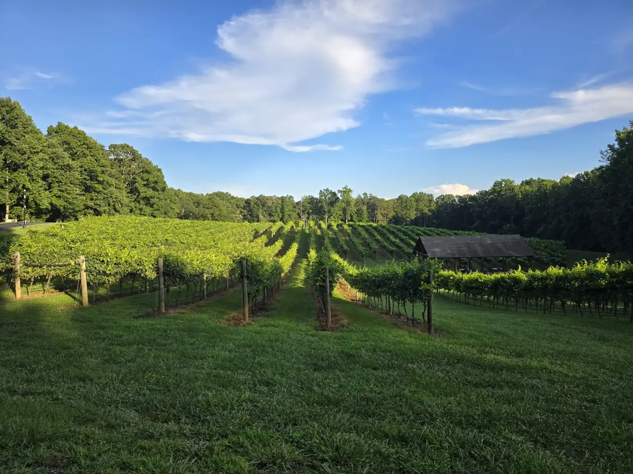 Roo Mountain Vineyards and Bistro