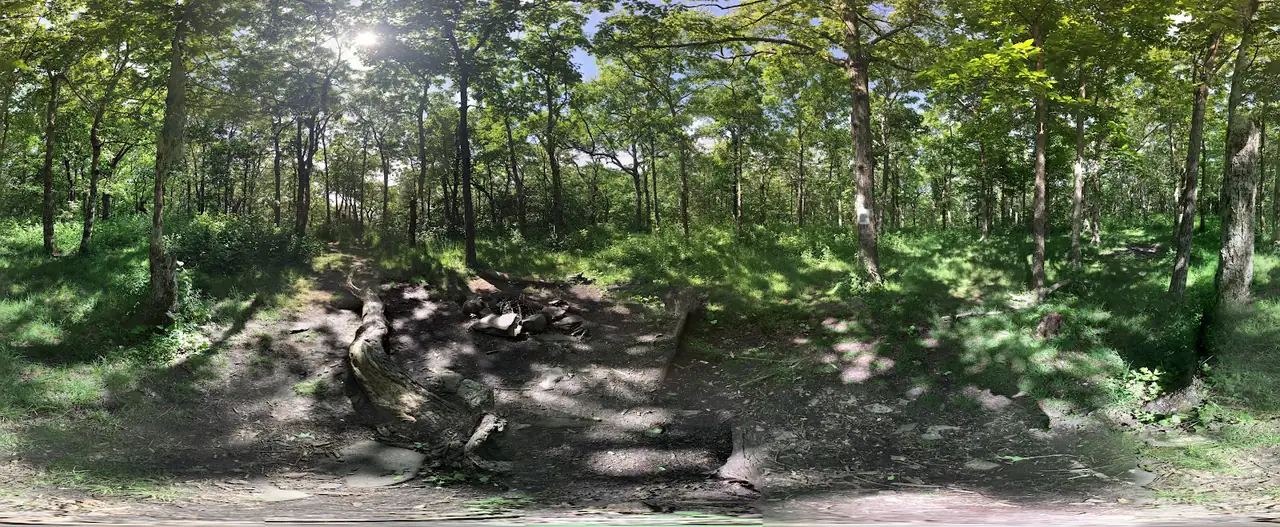 Springer Mountain and Long Creek Falls
