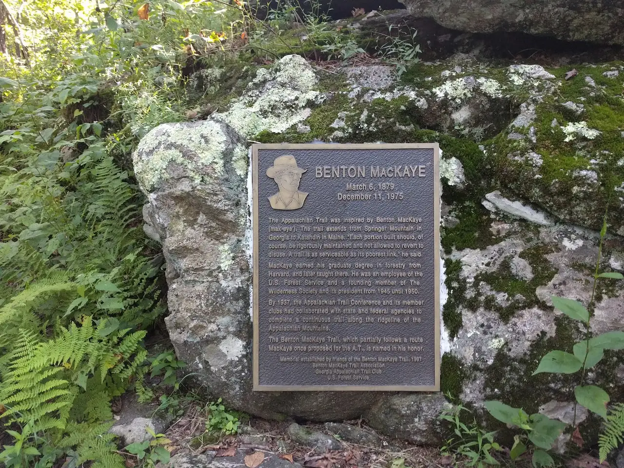 Springer Mountain and Long Creek Falls