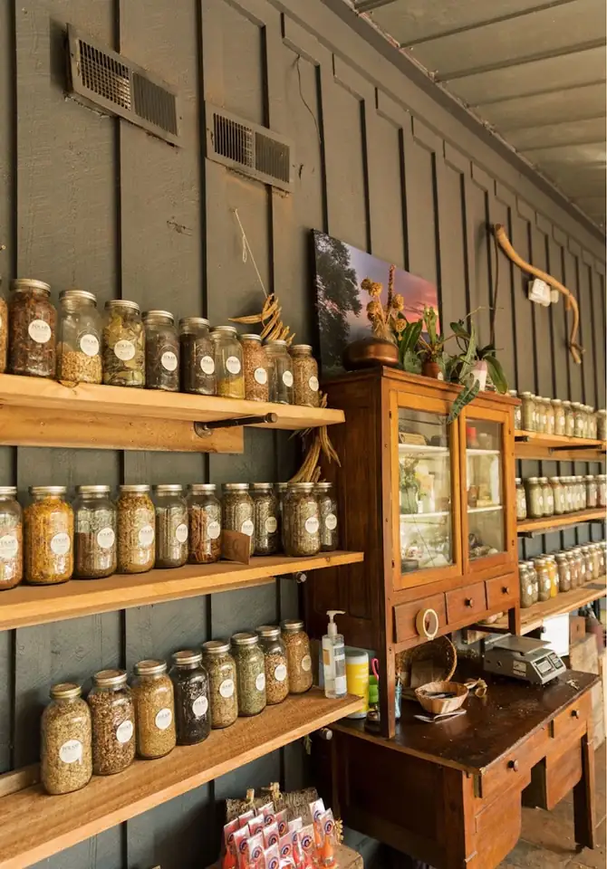 The Folk Collaborative