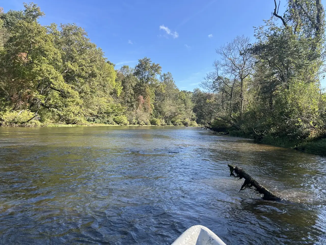 Toccoa River Anglers