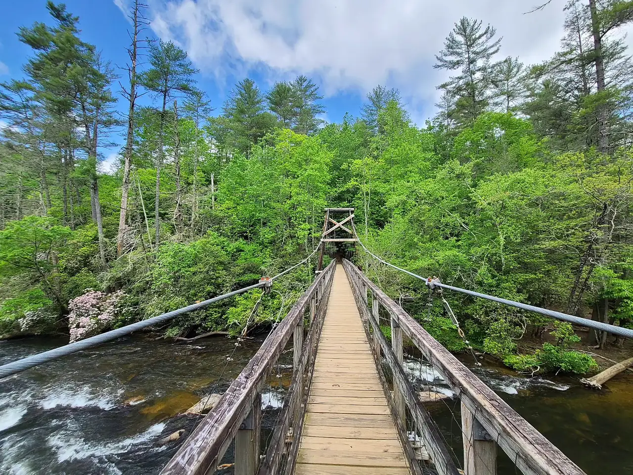Toccoa River Swinging Bridge